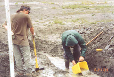 Image3.jpg (80725 bytes)