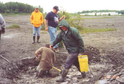 Image6.jpg (85365 bytes)