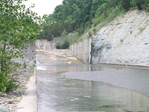 P1010250.jpg